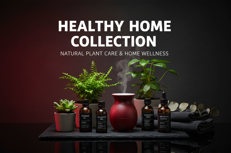 Healthy Home Collection