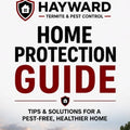 Hayward Home Protection Kit Guide