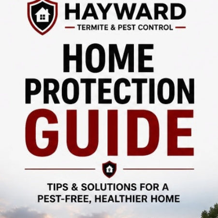 Hayward Home Protection Kit Guide